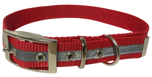 Köpek Boyun Tasmaları