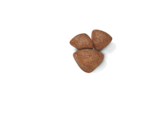 Royal Canin Mother and Babydog Mini Starter 4kg Yavru Köpek Maması