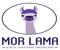 Bakım Ürünleri